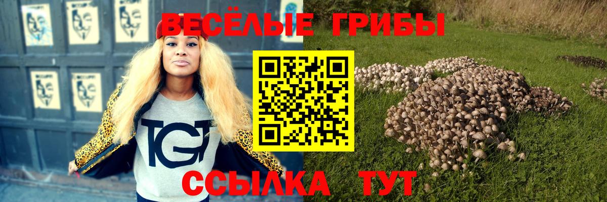 Галлюциногенные грибы мицелий  Вход с VPN  продажа наркотиков  Воскресенск 