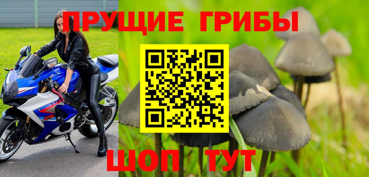 Галлюциногенные грибы мухоморы Воскресенск